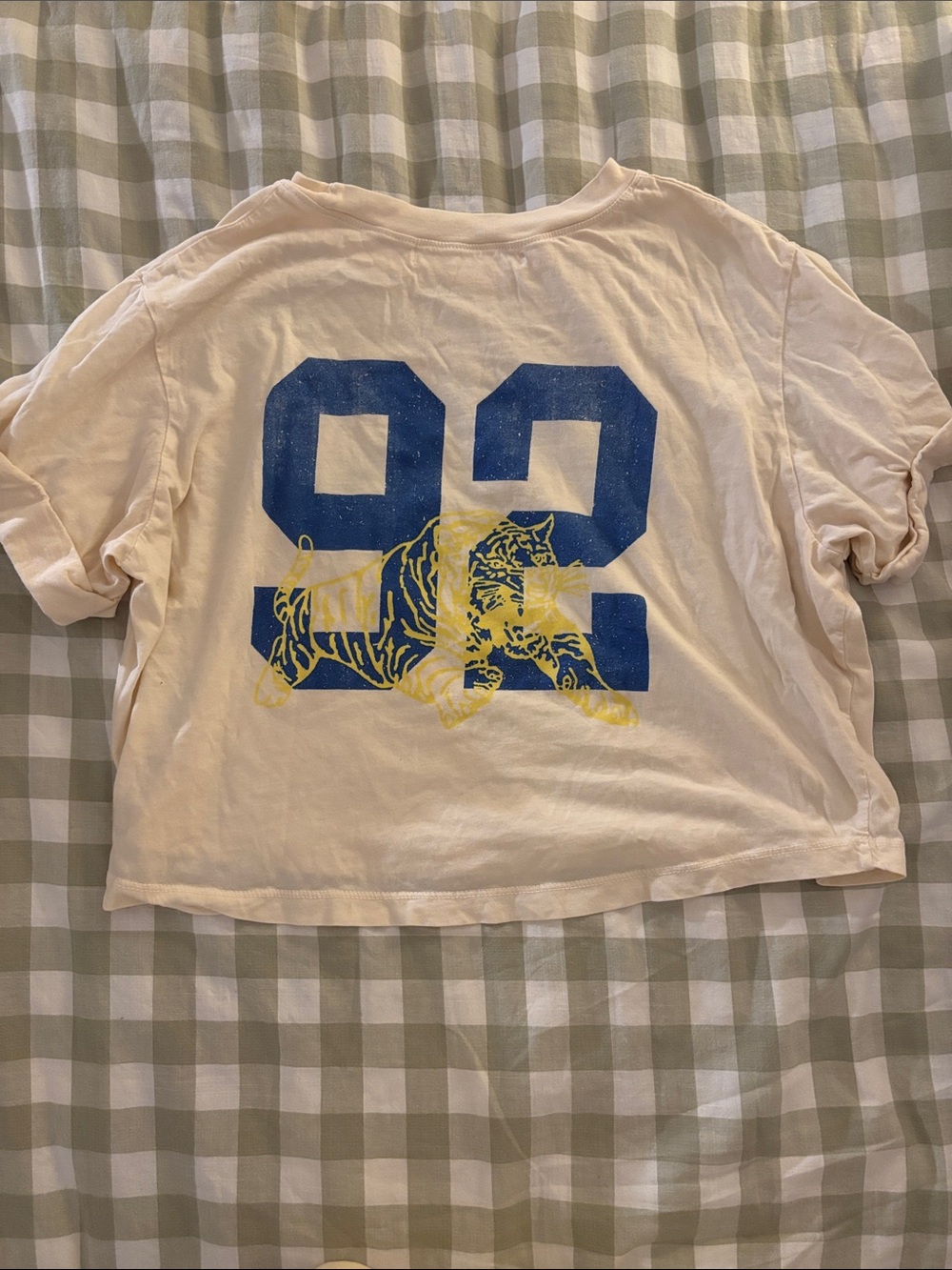Altar’d State Nashville Tigers Graphic boxy tee - Picture 2 of 2